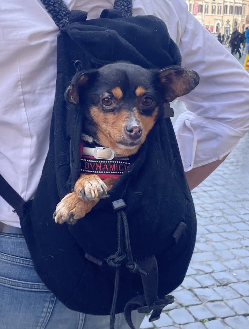 Foto di Mia